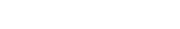 WordPress Blog
